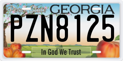 GA license plate PZN8125