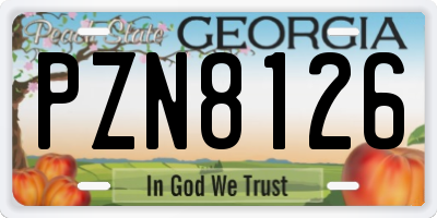 GA license plate PZN8126