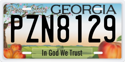 GA license plate PZN8129