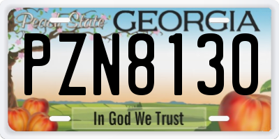 GA license plate PZN8130