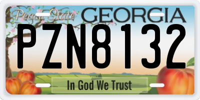 GA license plate PZN8132