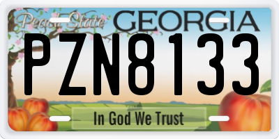 GA license plate PZN8133