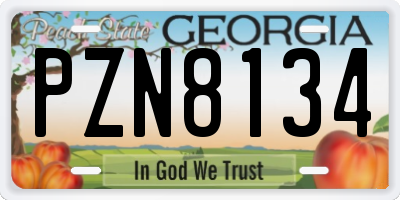 GA license plate PZN8134