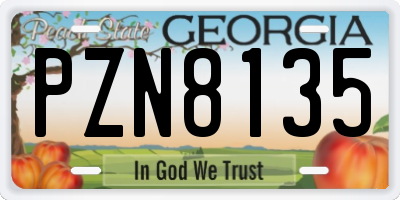 GA license plate PZN8135