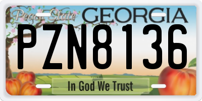 GA license plate PZN8136