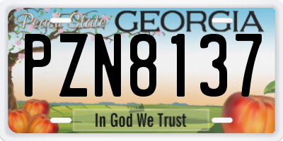 GA license plate PZN8137