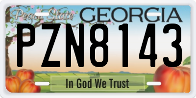 GA license plate PZN8143