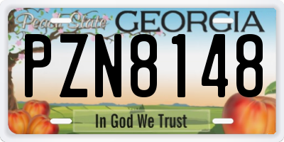 GA license plate PZN8148