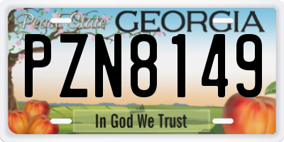 GA license plate PZN8149