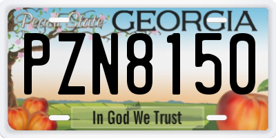 GA license plate PZN8150
