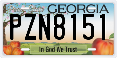 GA license plate PZN8151