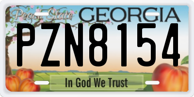 GA license plate PZN8154