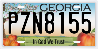 GA license plate PZN8155