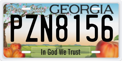 GA license plate PZN8156