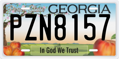 GA license plate PZN8157