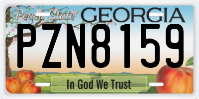 GA license plate PZN8159