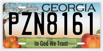 GA license plate PZN8161