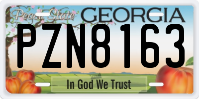GA license plate PZN8163