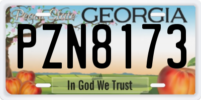 GA license plate PZN8173