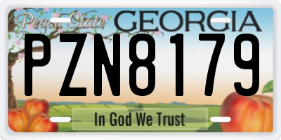 GA license plate PZN8179