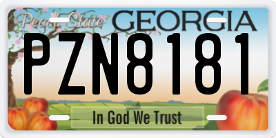 GA license plate PZN8181