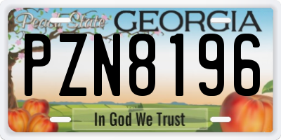 GA license plate PZN8196