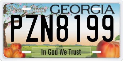 GA license plate PZN8199