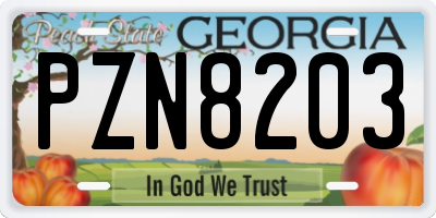 GA license plate PZN8203