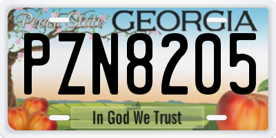 GA license plate PZN8205