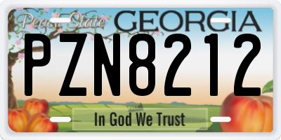 GA license plate PZN8212
