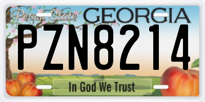 GA license plate PZN8214