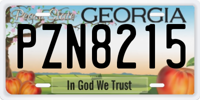 GA license plate PZN8215