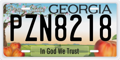 GA license plate PZN8218