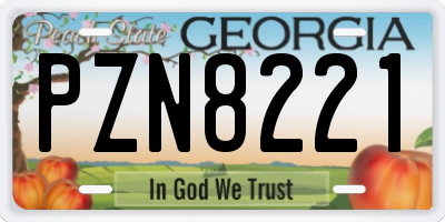 GA license plate PZN8221