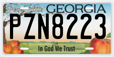 GA license plate PZN8223