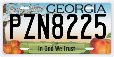 GA license plate PZN8225