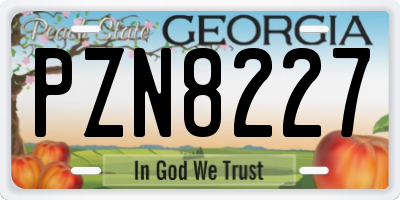 GA license plate PZN8227