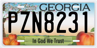 GA license plate PZN8231