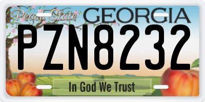 GA license plate PZN8232