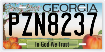GA license plate PZN8237