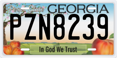 GA license plate PZN8239