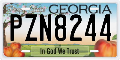 GA license plate PZN8244
