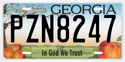 GA license plate PZN8247