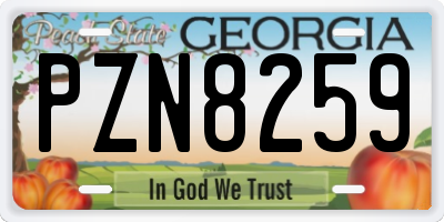 GA license plate PZN8259