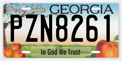 GA license plate PZN8261
