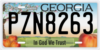 GA license plate PZN8263