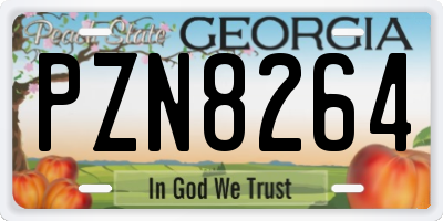 GA license plate PZN8264