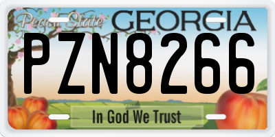 GA license plate PZN8266