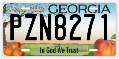 GA license plate PZN8271