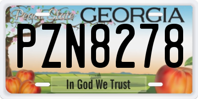 GA license plate PZN8278